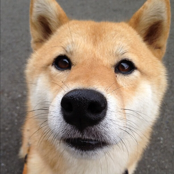 爱游戏app活动-中超青训体系球员晋升率统计，中超青年球员